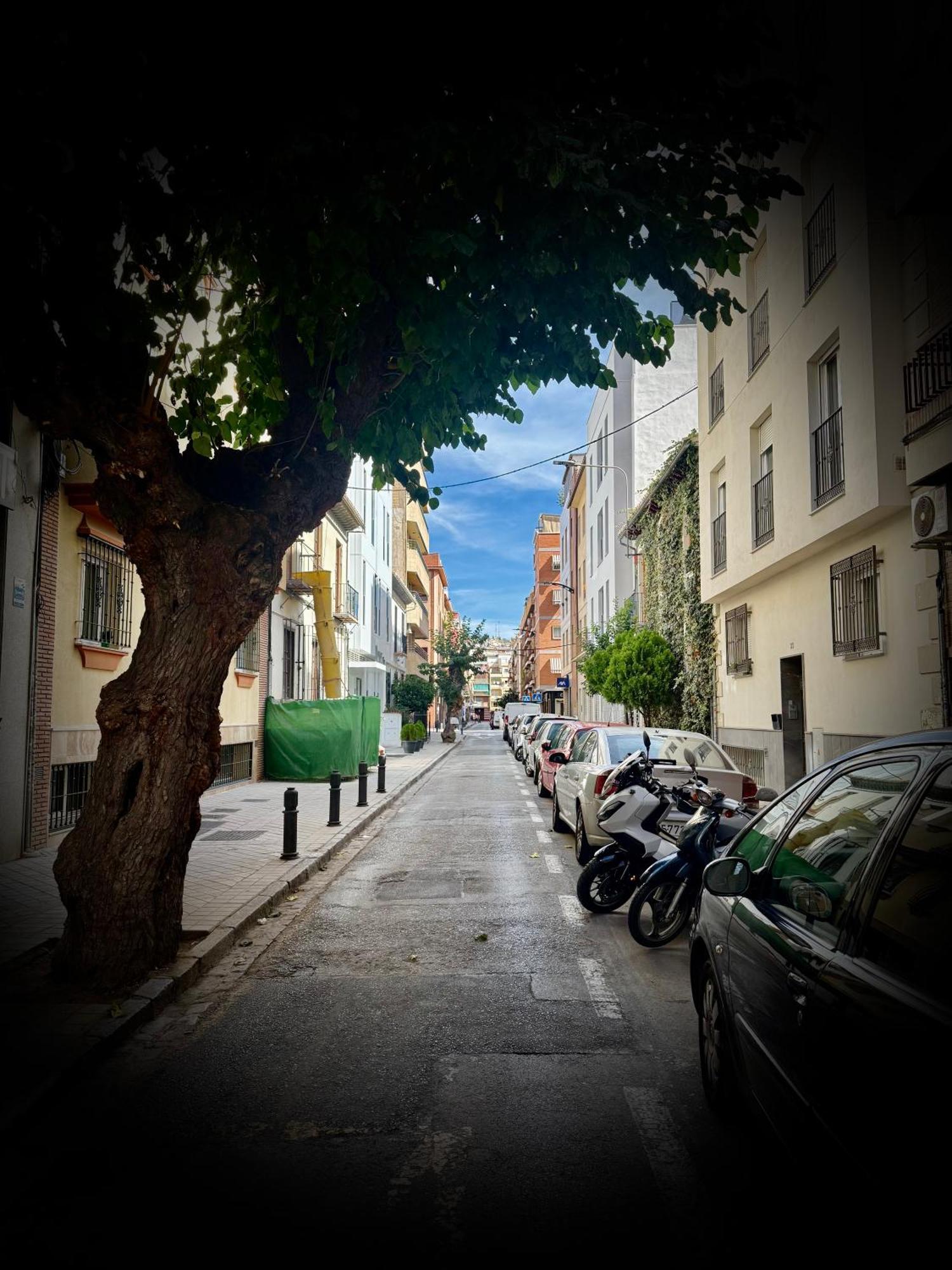 Centrico Apartamento Con Parking Granada Dış mekan fotoğraf